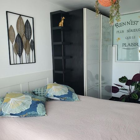 Appartement Cosy Entierement Equipe Tolosa Esterno foto